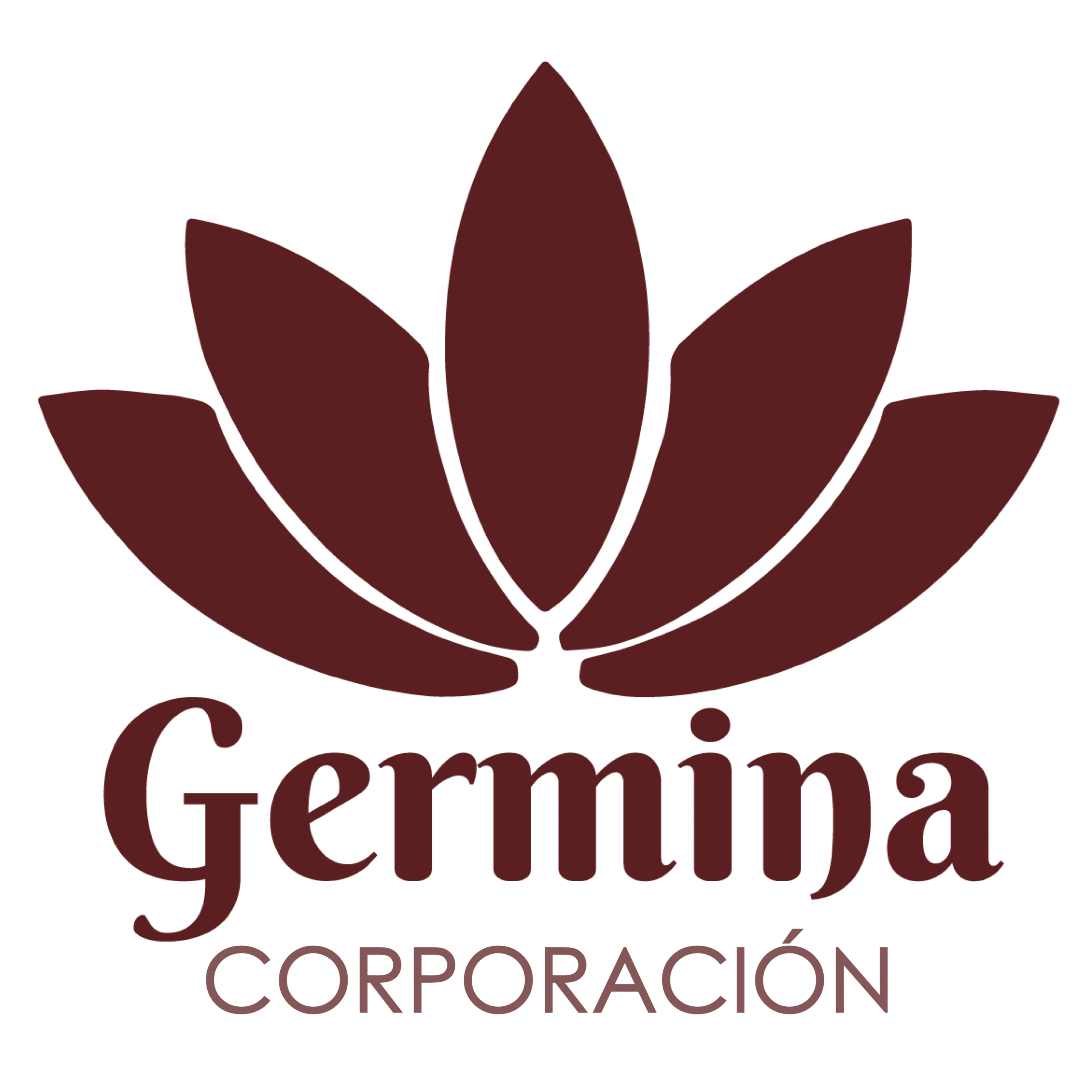 logotipo corporación